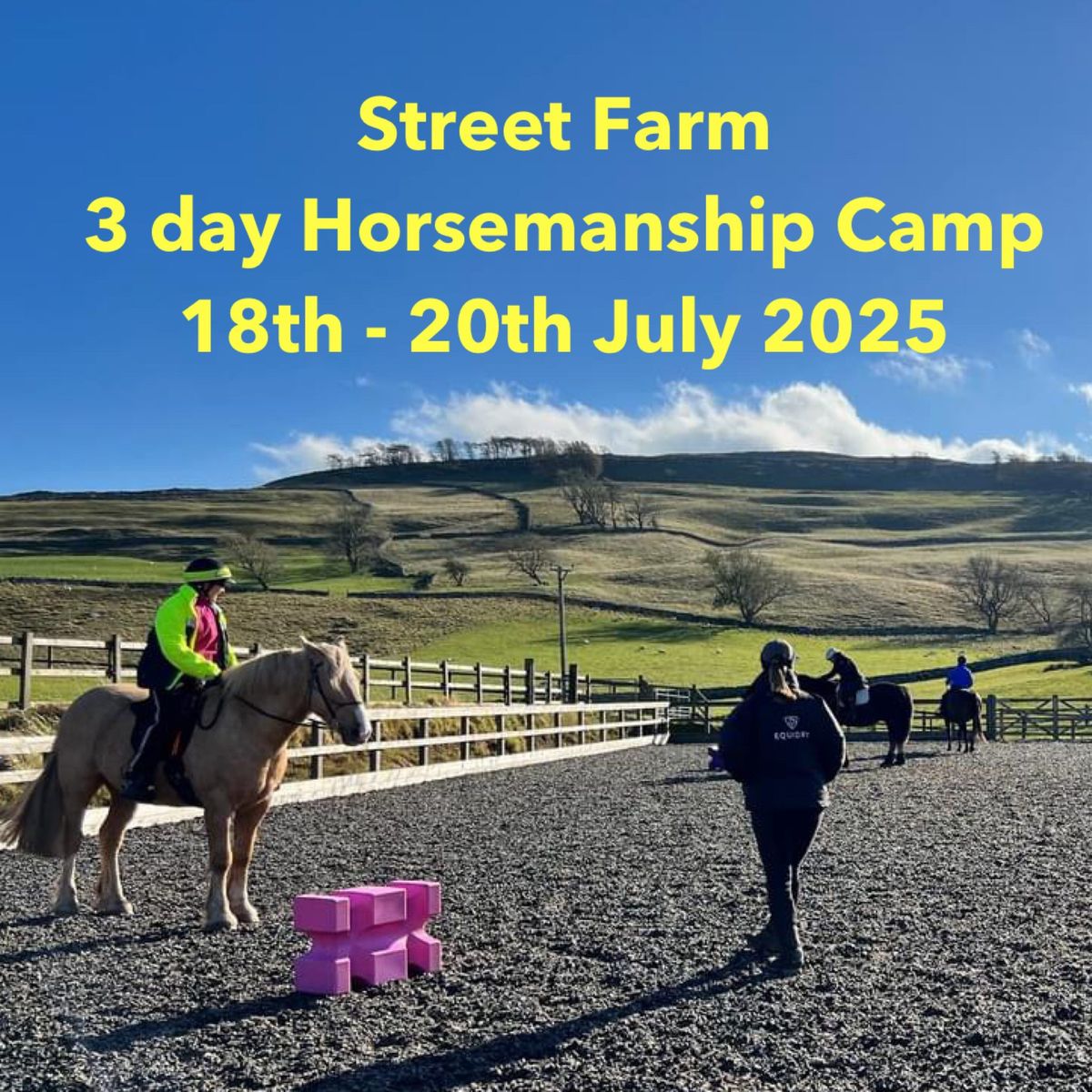 Street Farm 3 day Horsemanship Camp with Sally Brett   18th - 20th July 2025