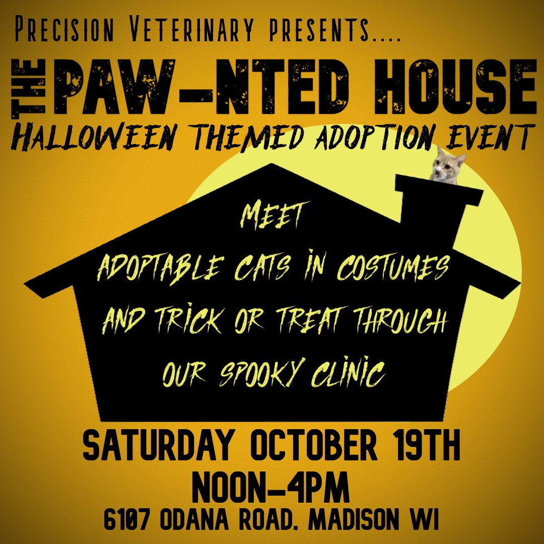 The Paw-nted House: Halloween themed adoption event