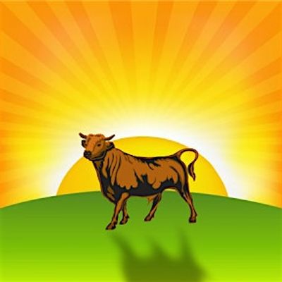 Durham Sunrise Rotary