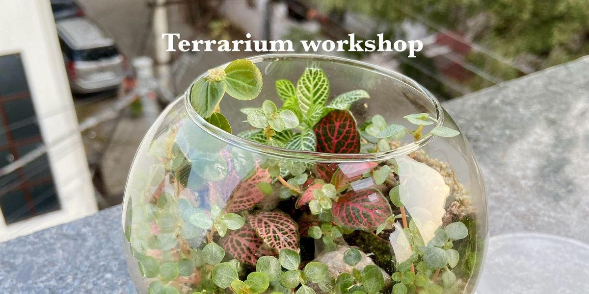 Design your own closed terrarium.