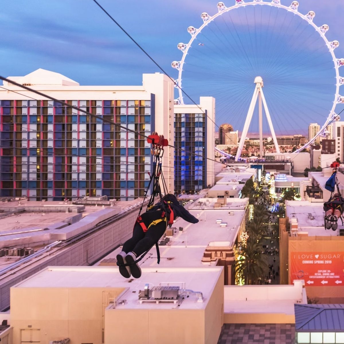 Fly Linq Zipline (Multiple Dates and Times)