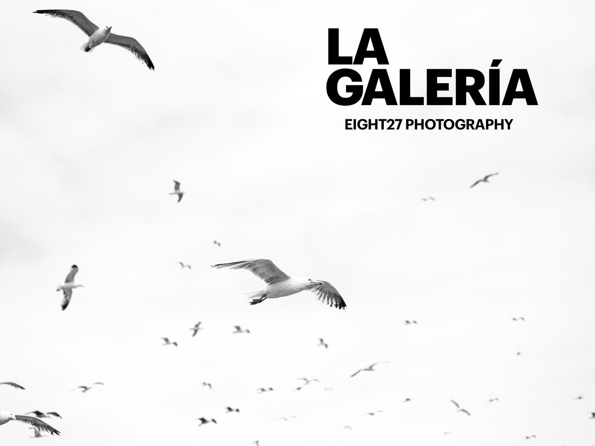 Welcome to \u00ab La Galeria \u00bb Photo Exhibition!