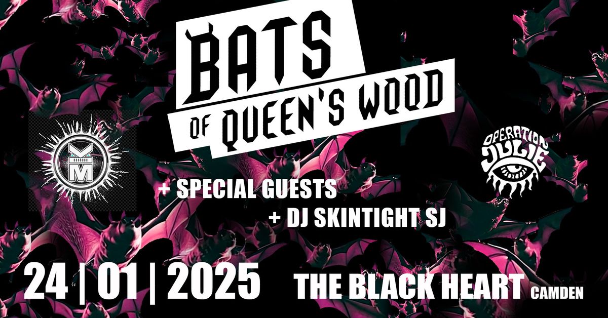 Bats of Queen's Wood\/Operation Julie\/Kl\u0101nk M\u00f6nster\/Special Guests\/DJ SkintightSJ