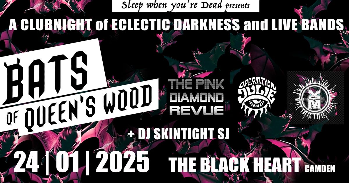 Bats of Queen's Wood\/The Pink Diamond Revue\/Operation Julie\/Kl\u0101nk M\u00f6nster\/DJ SkintightSJ