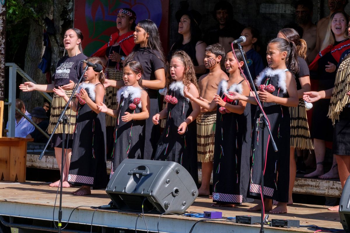 Waitangi Festival Concert at Lions Park