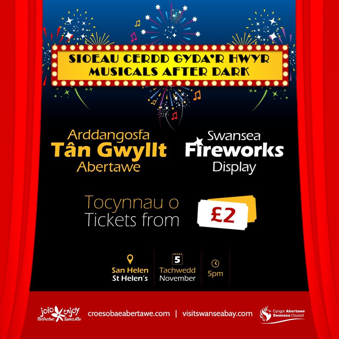 Swansea Council Fireworks Display