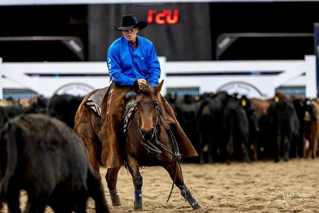 2 day Cattle Working Clinic!!