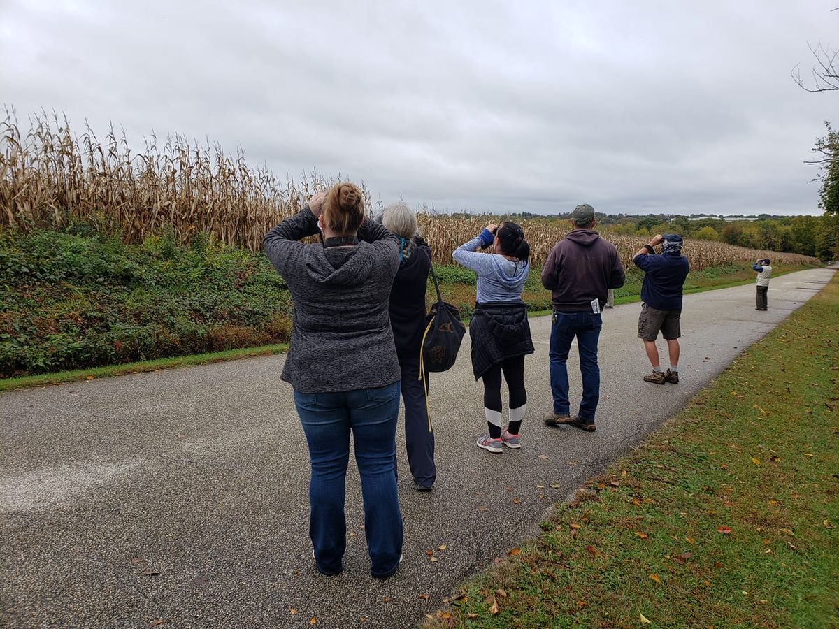 Morning Bird Walk