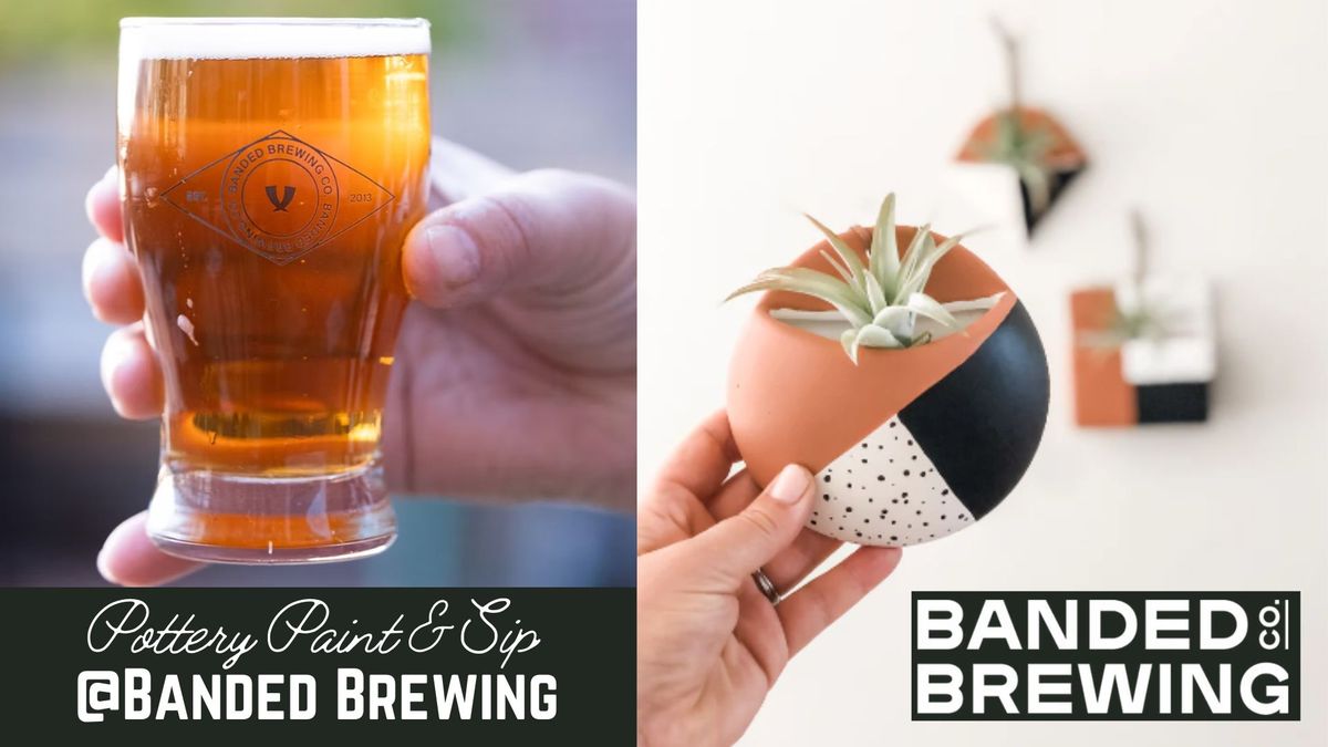 Pottery Paint & Sip @Banded Brewing\/Biddeford - Hanging Planter & Air Plant