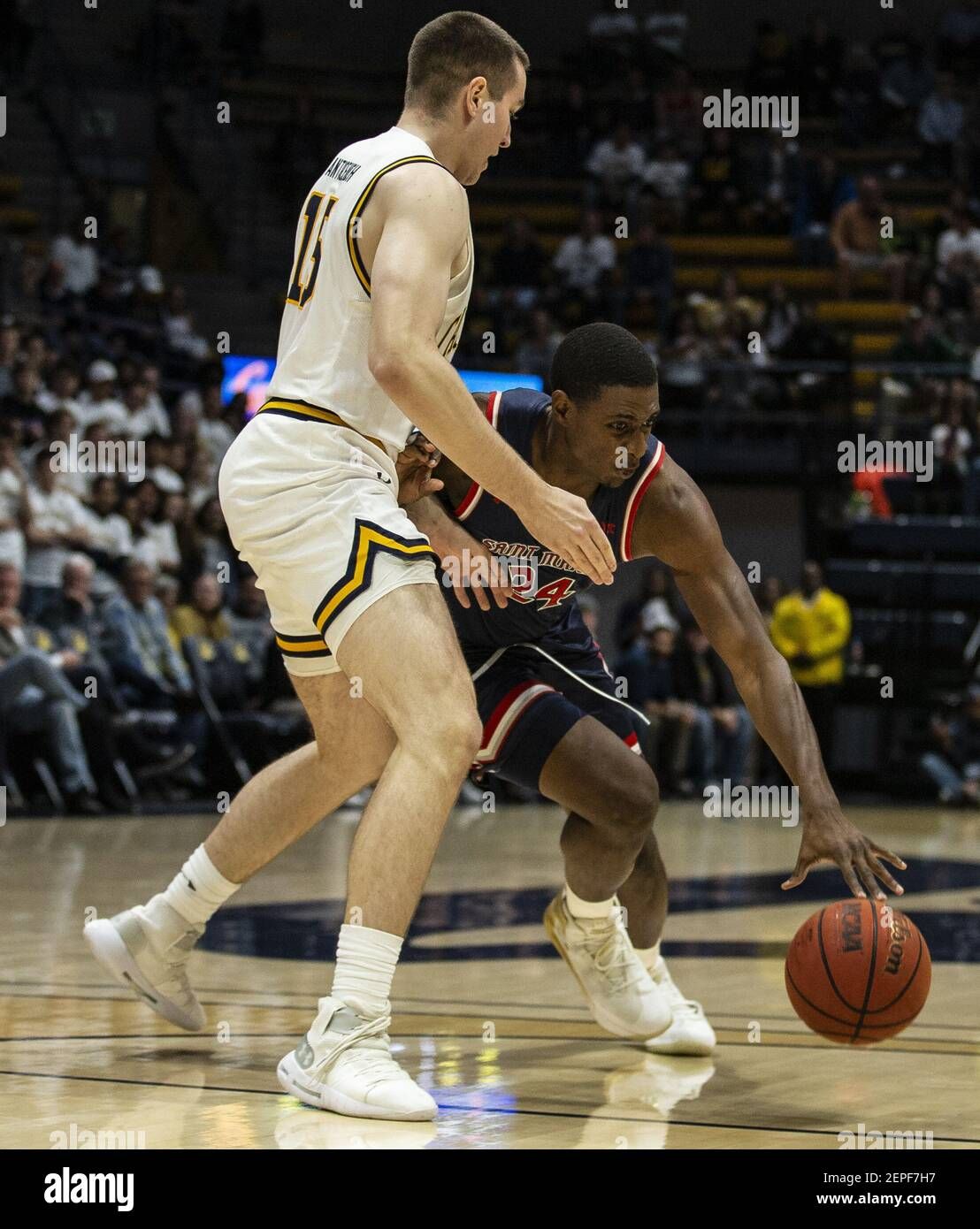 California Golden Bears vs. St. Marys Gaels