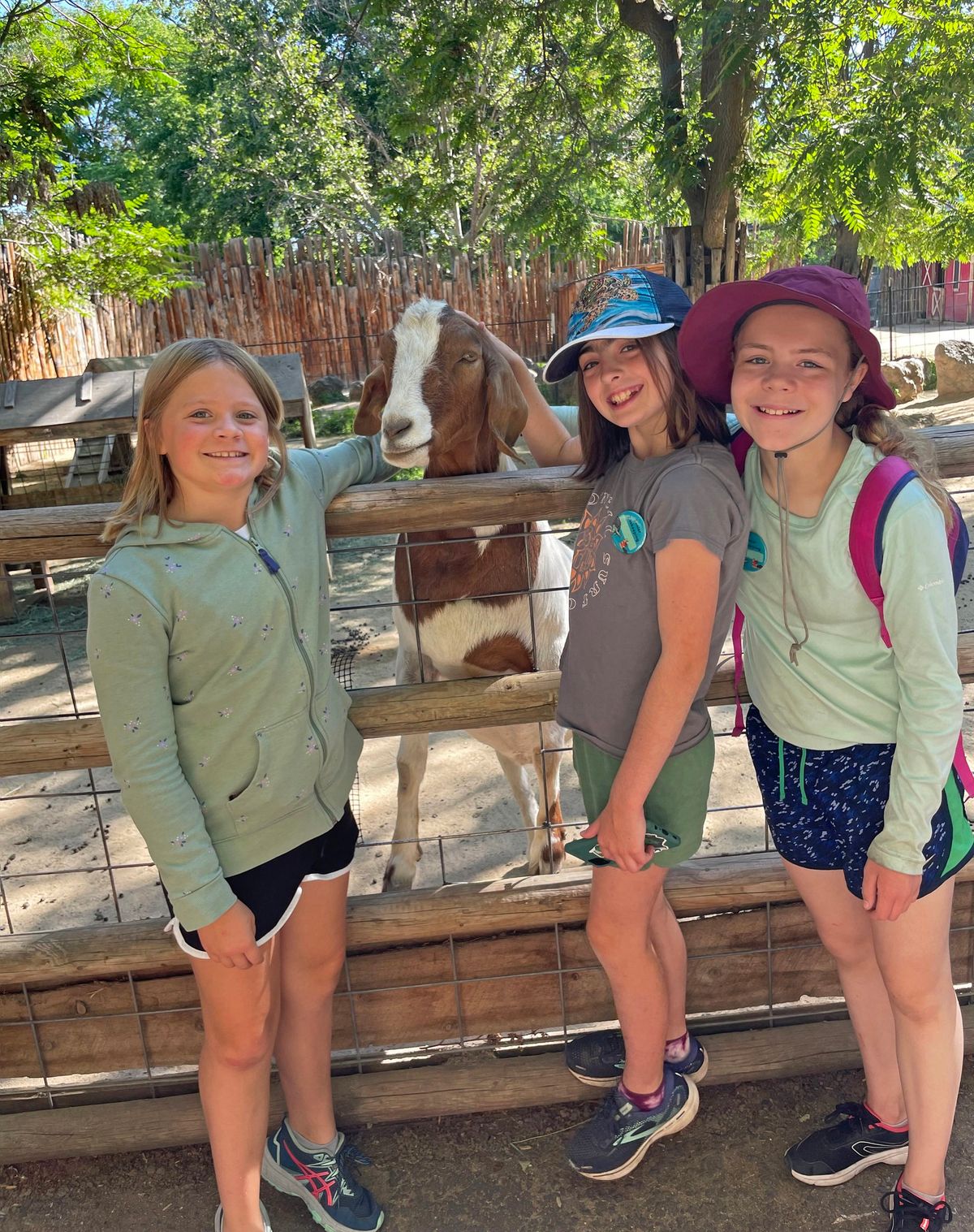 Homeschool Zoo at Zoo Boise