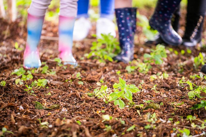 Junior Nature Play