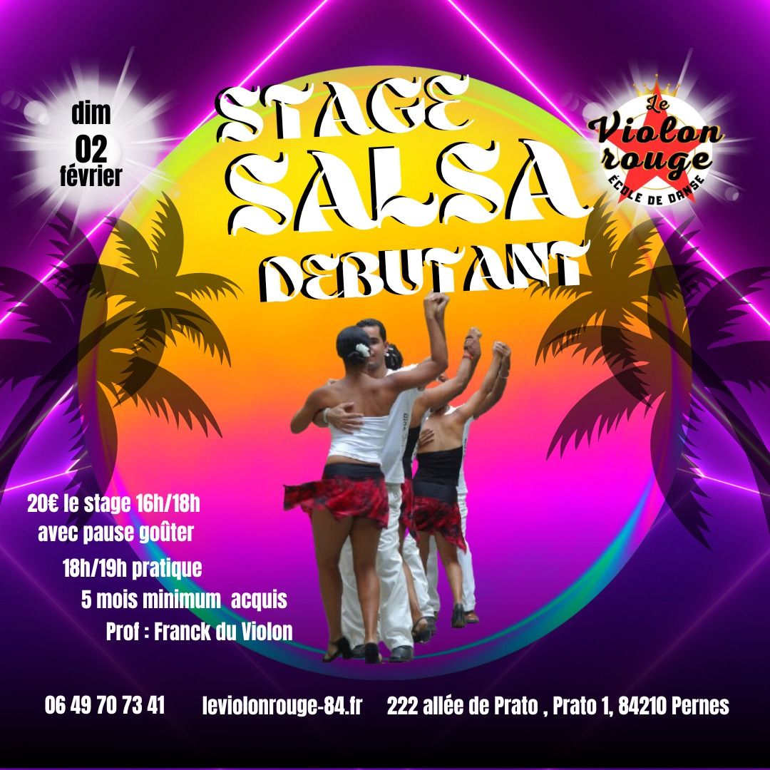 STAGE SALSA D\u00e9butant avec Franck au Violon Rouge