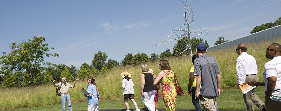 The Value of Vitamin N (Nature): Guided Walk in the Museum Park