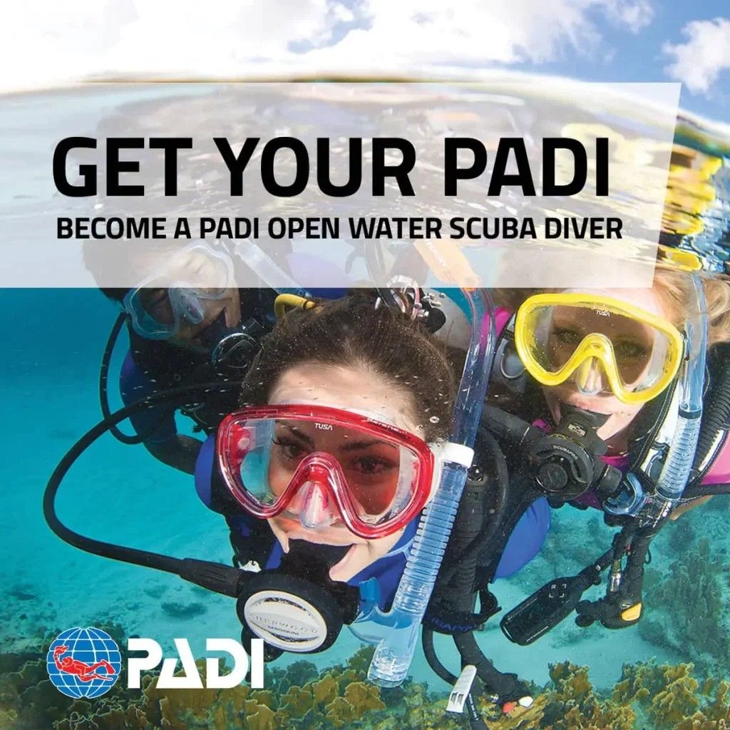 PADI Open Water Course OW2412WE
