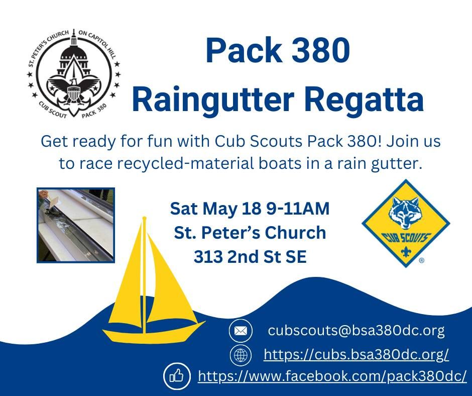 Pack 380 Recycled Raingutter Regatta