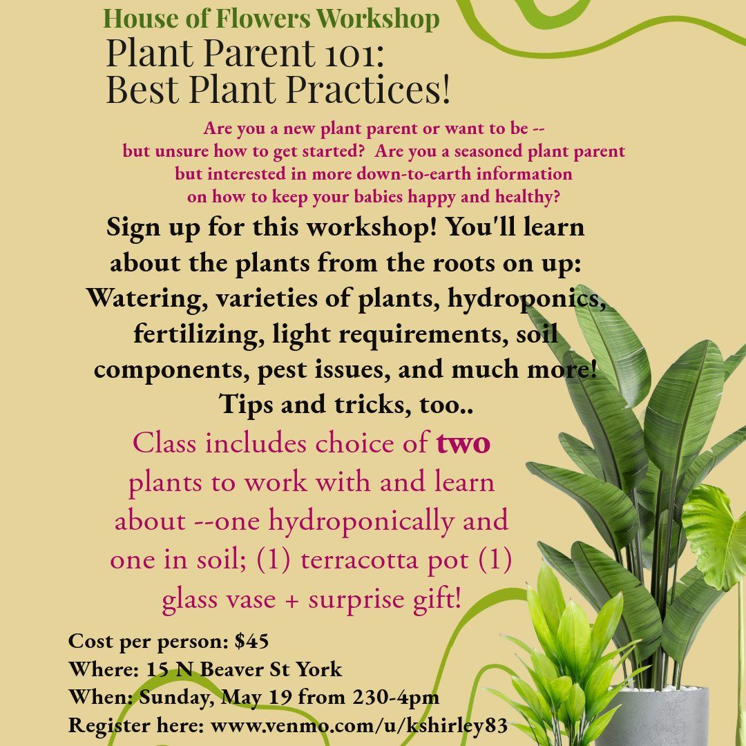 Workshop: Plant Parent 101: Best Plant Basics