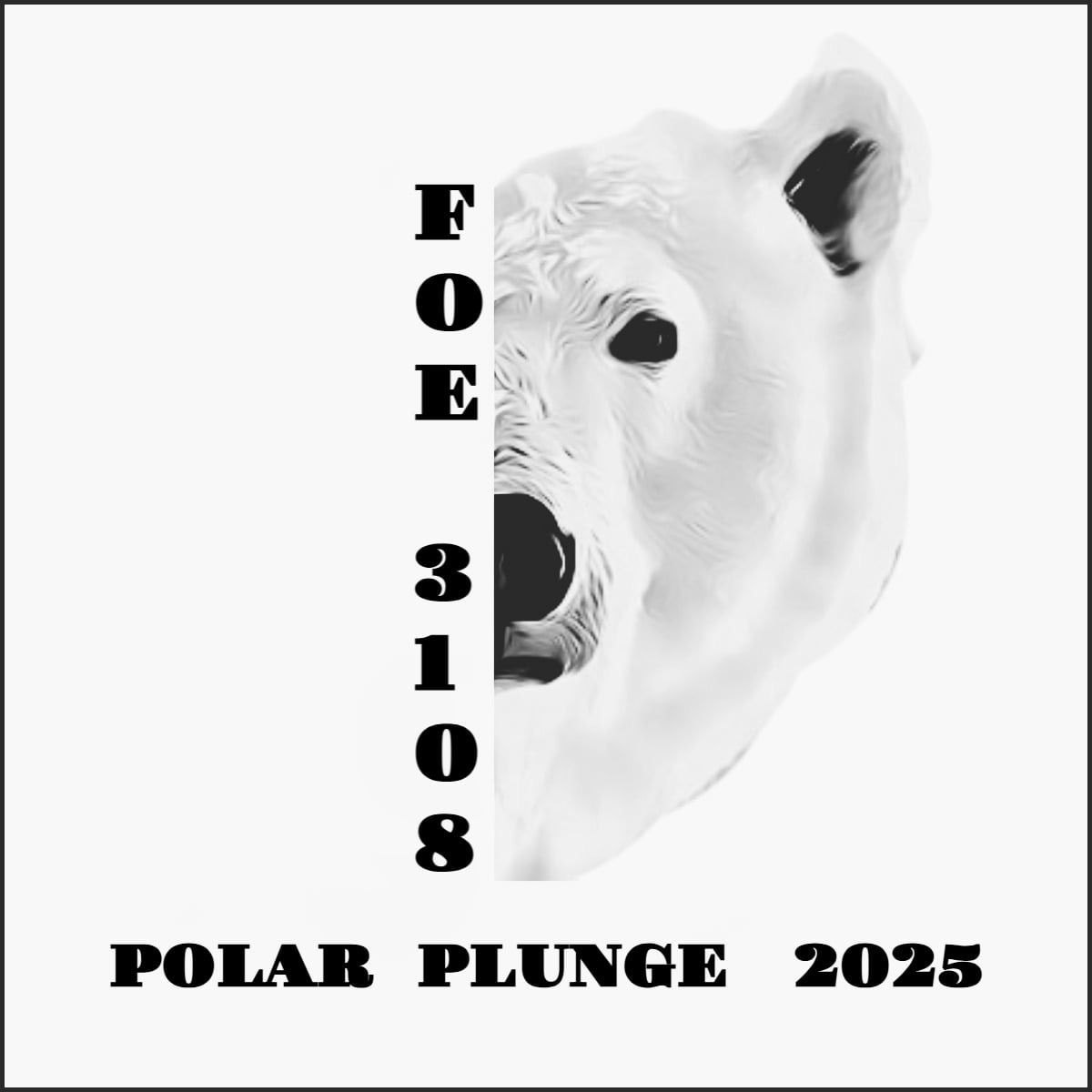 Polar Plunge 2025