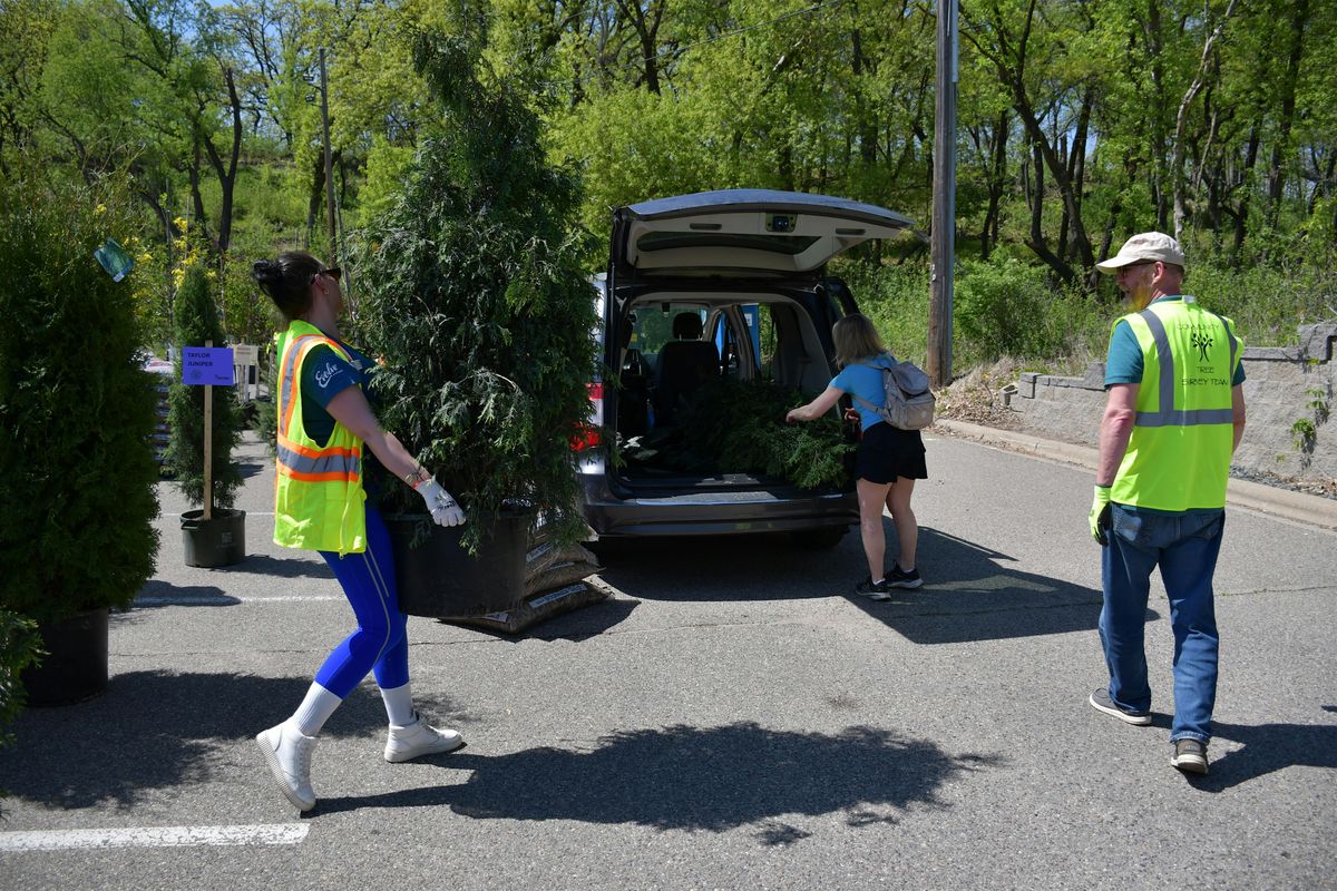 Minneapolis Tree Distribution - Friday