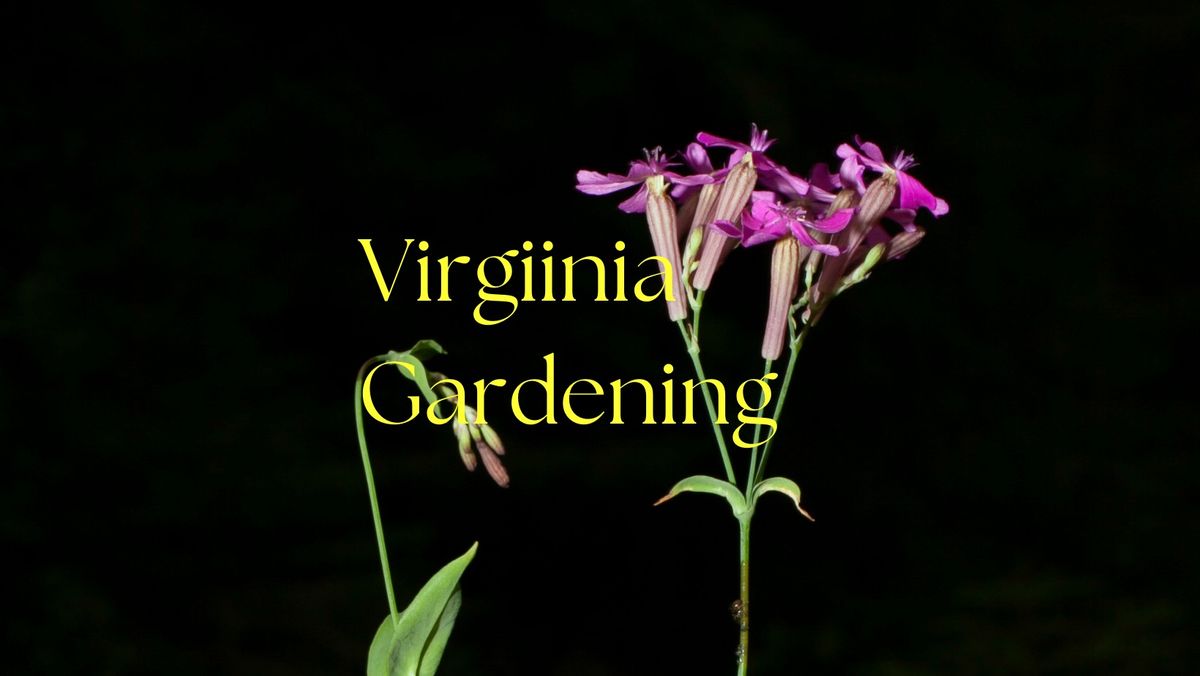 Virgiinia Gardening