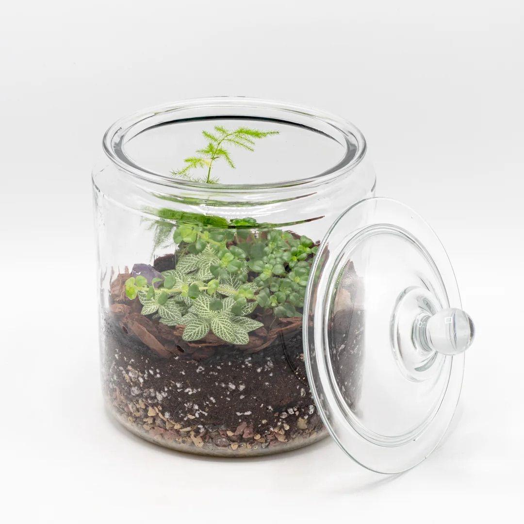 Apothecary Jar Terrarium Workshop