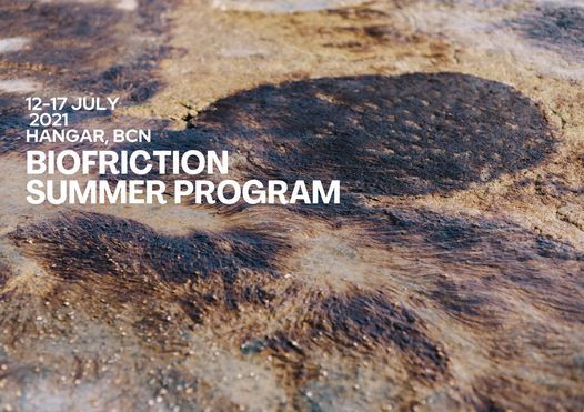 Summer Program Biofriction