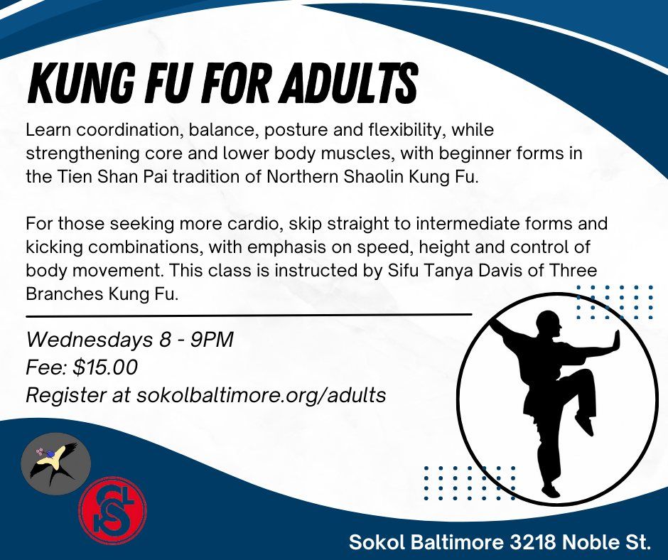 Kung Fu for Adults