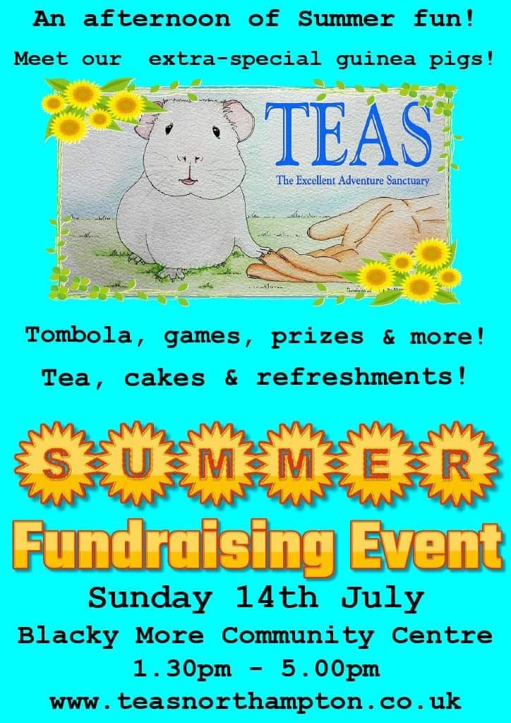 TEAS Summer Fundraising Event 