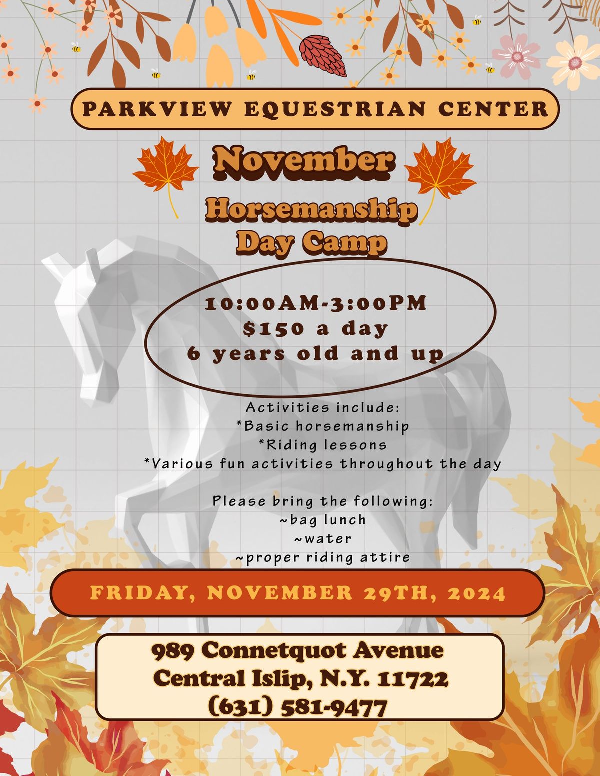 November Horsemanship Day Camp: Day After Thanksgiving