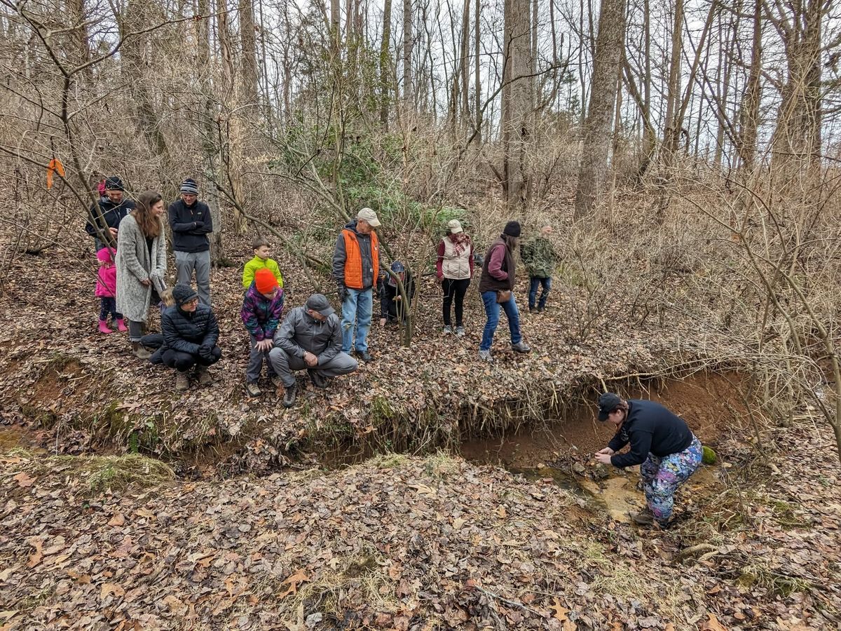 Rock Walk and Talk: A Geology Primer