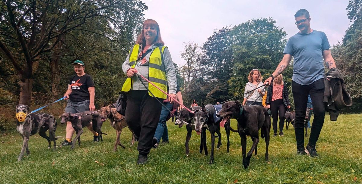 Sighthound social dog walk at Woodbank Park,SK1 4JR