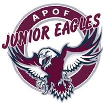 Albion Park Oak Flats Junior & Minor Rugby League Football Club