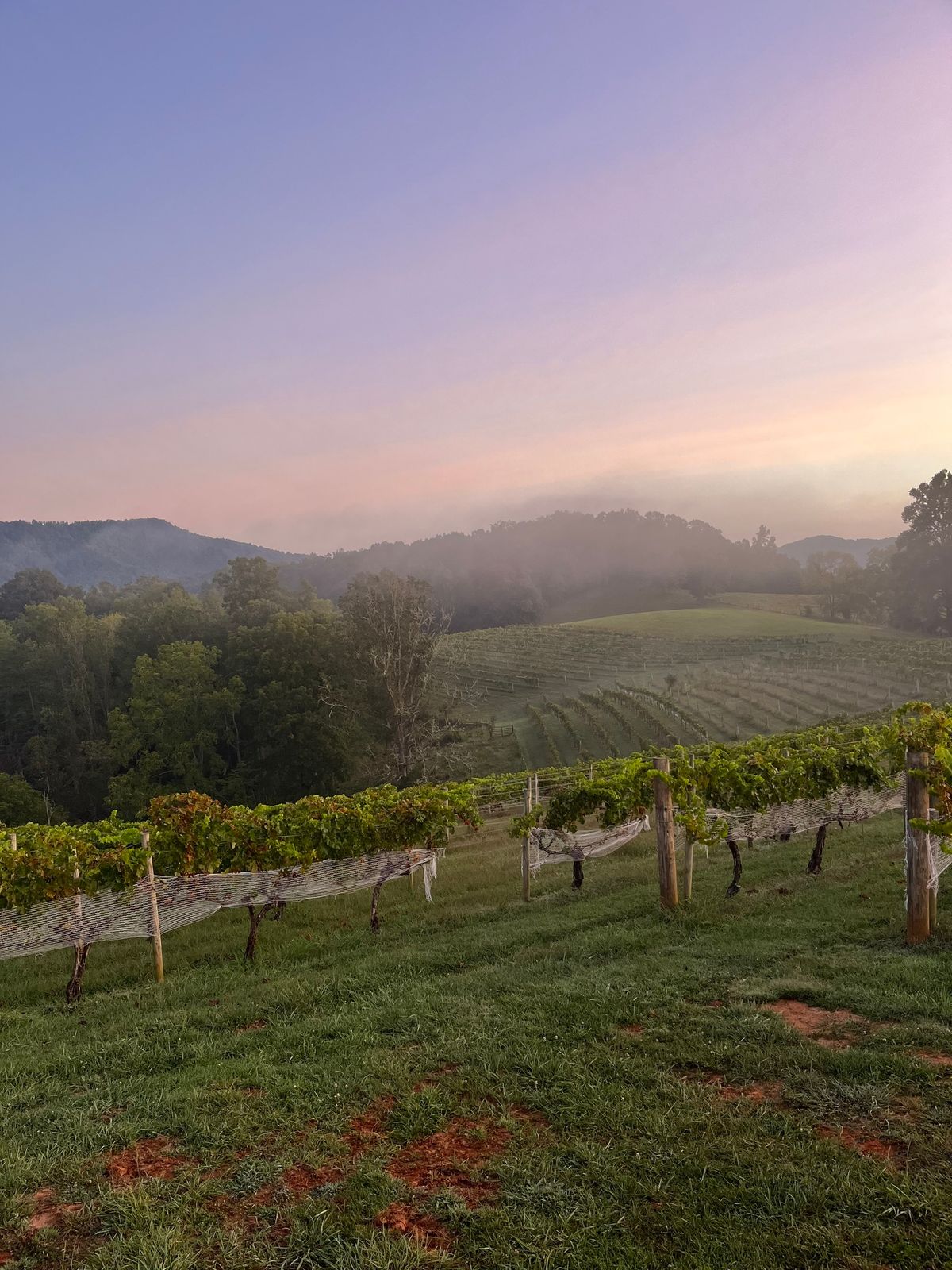 Wine Tasting with Addison Farms 