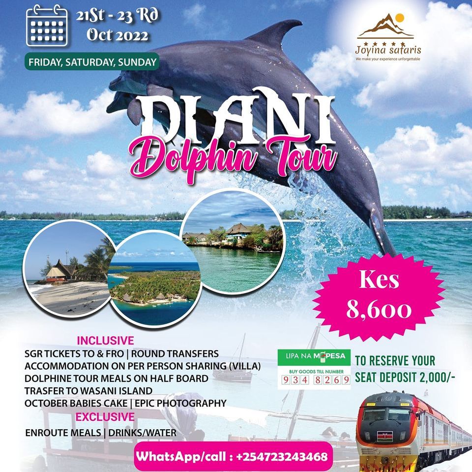 DIANI WASINI DOLPHIN TOURS