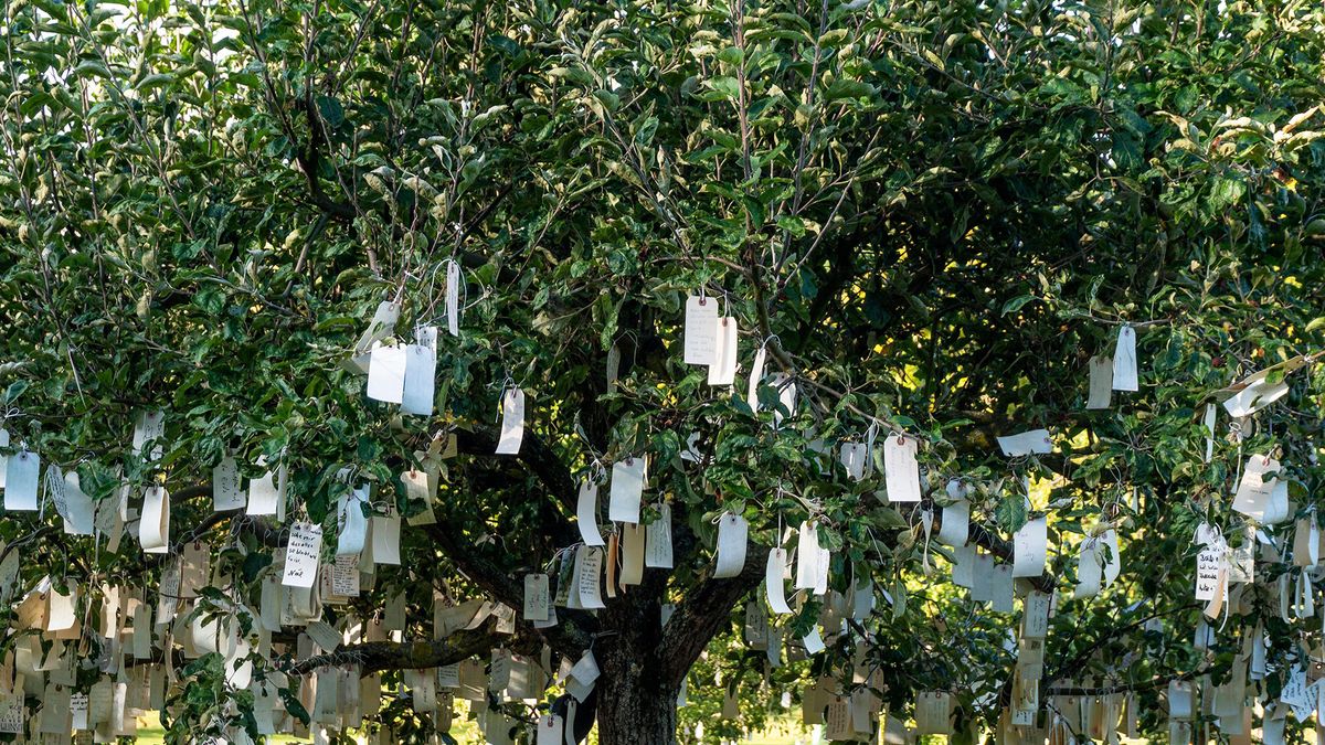 Yoko Ono's "Wish Tree"