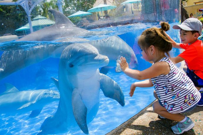 \ud83c\udf0a A Day at SeaWorld Orlando \ud83c\udf0a Weekend Getaway ONLY $149 Per Couple