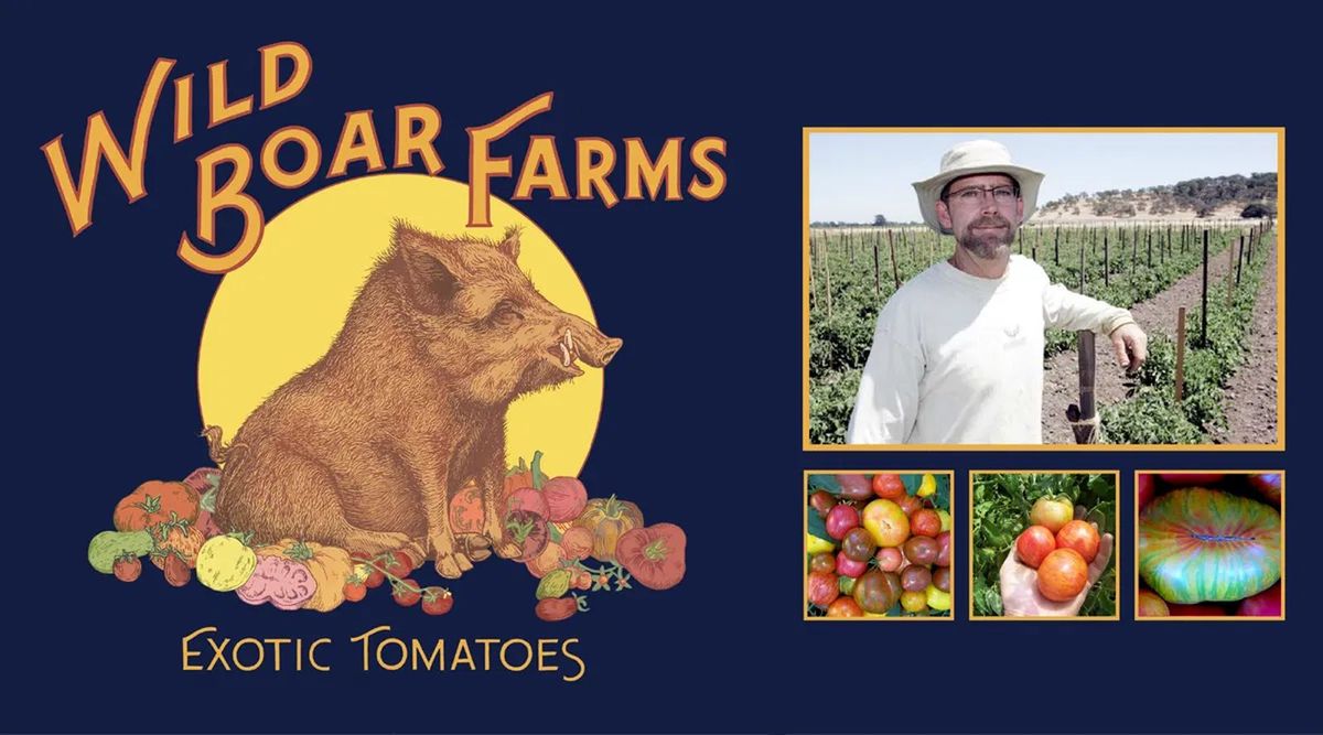  Wild Boar Farms Exotic Tomatoes Spring Preview | Sacramento