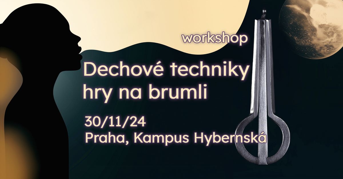 Dechov\u00e9 techniky hry na brumli | workshop