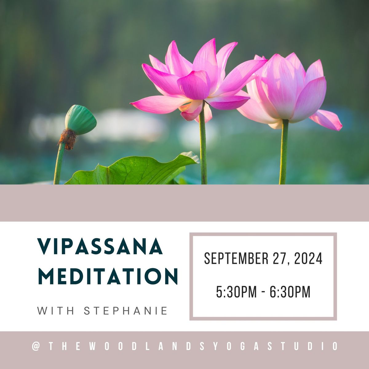 Vipassana Meditation with Stephanie 