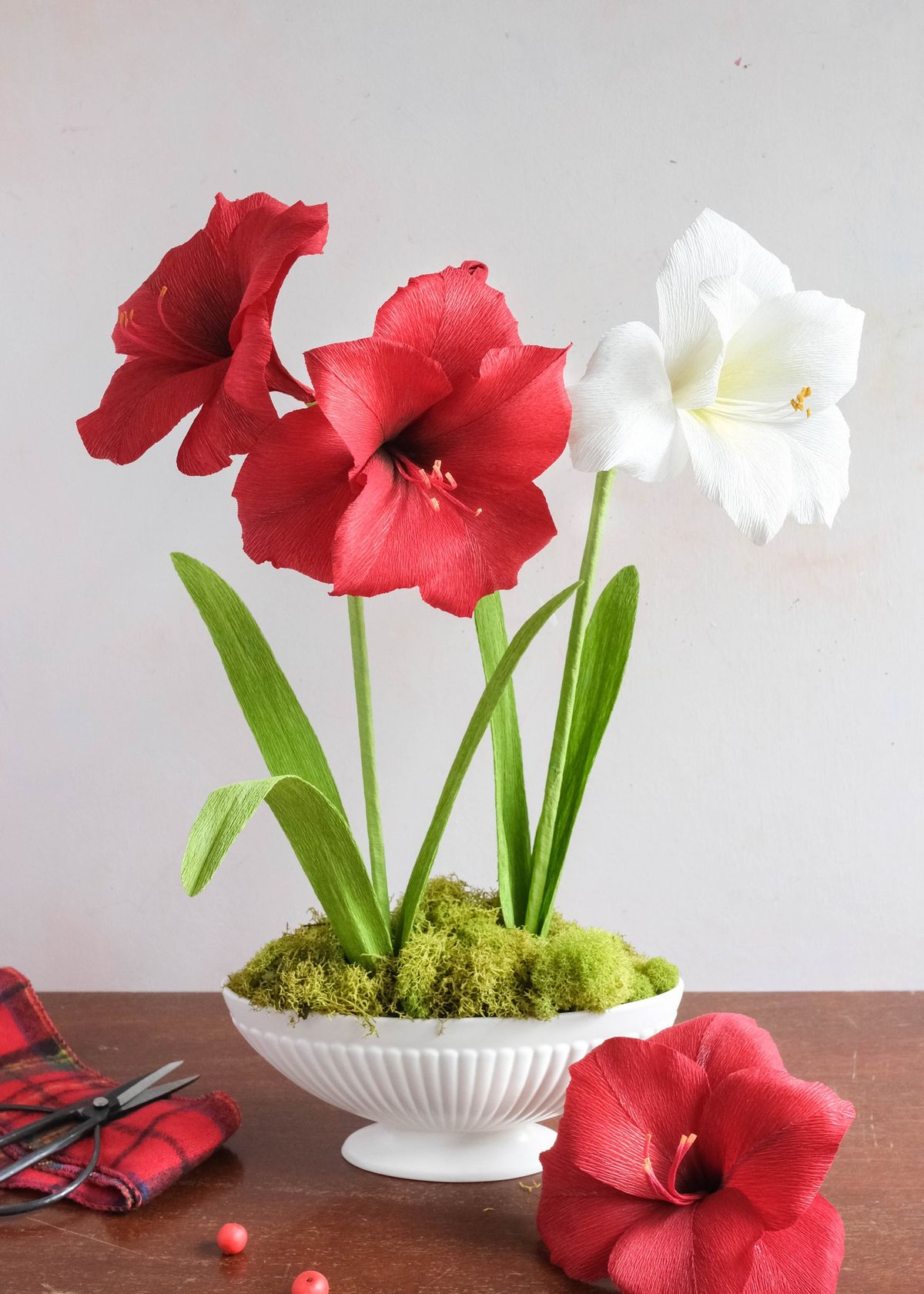 Crepe Paper Amaryllis Workshop