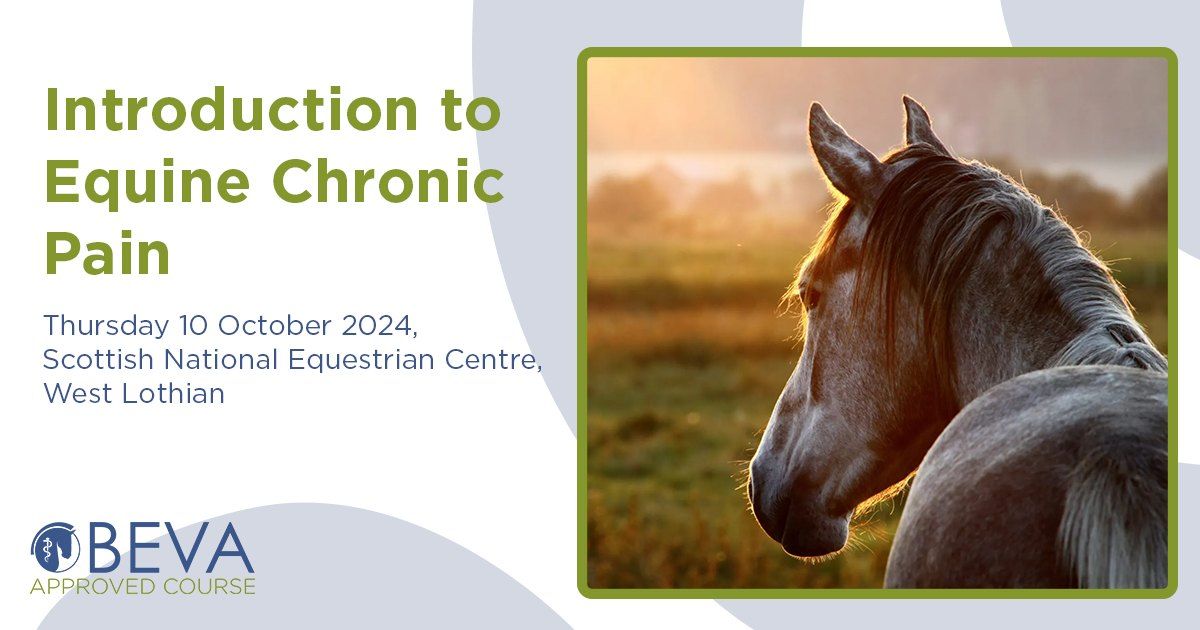 BEVA Approved: Introduction to Equine Chronic Pain