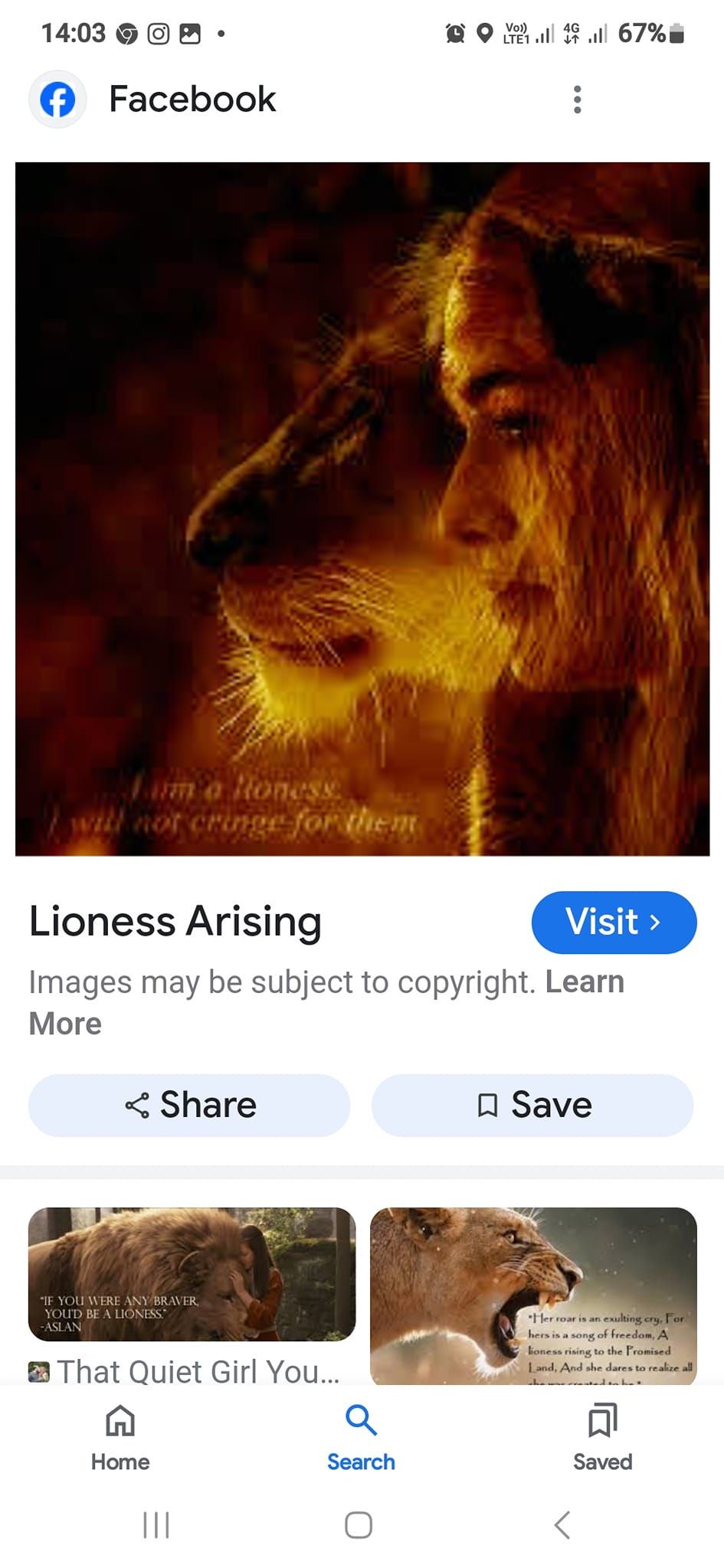 LIONESS ARISING 