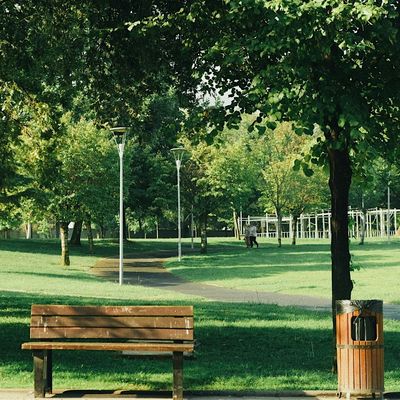 Kingswood Community Clean Up