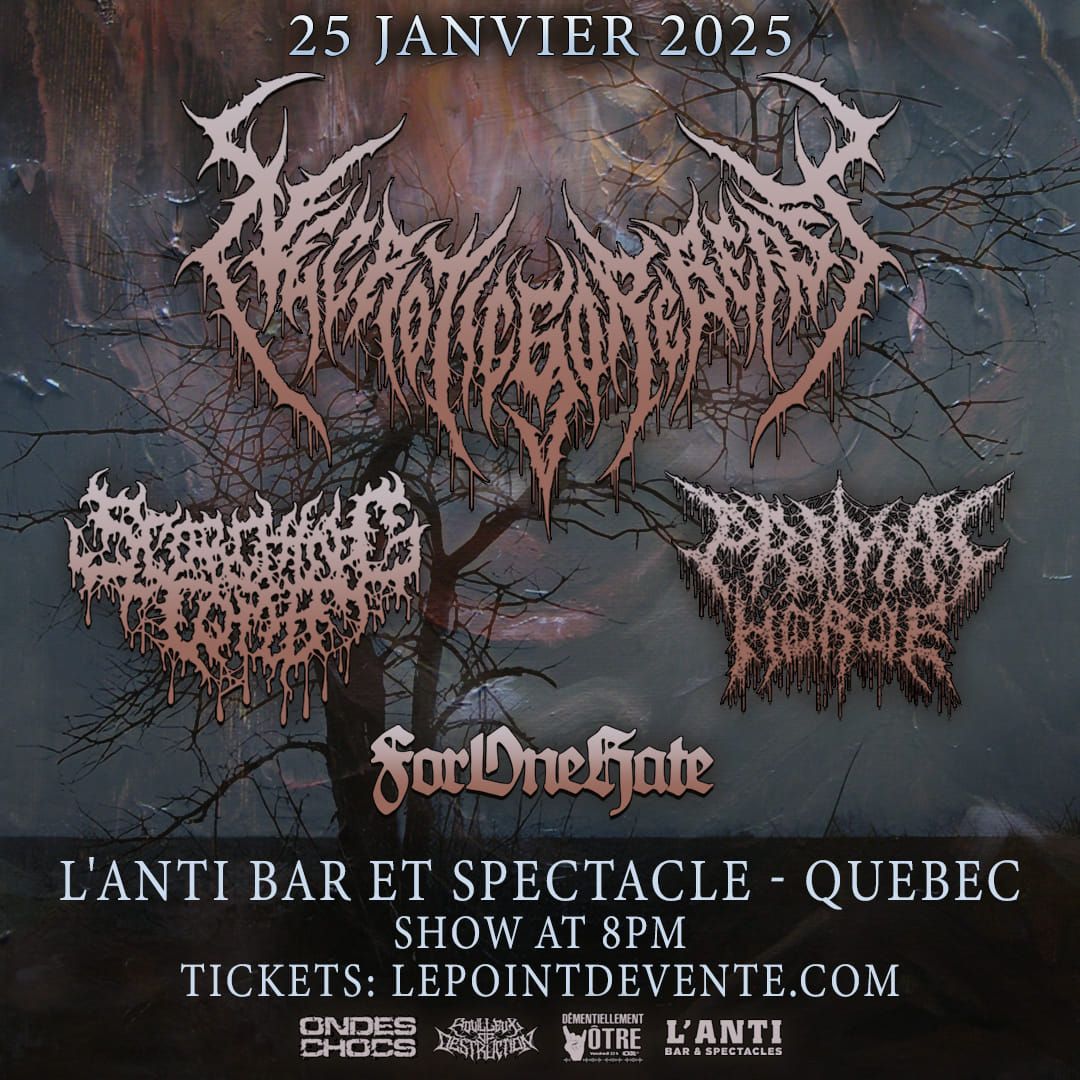 NecroticGoreBeast avec invit\u00e9s\/\/ Samedi 25 janvier 2025 \/\/ l'Anti Bar et Spectacles 