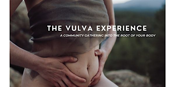 The Sovereign Pelvis | The Vulva Experience