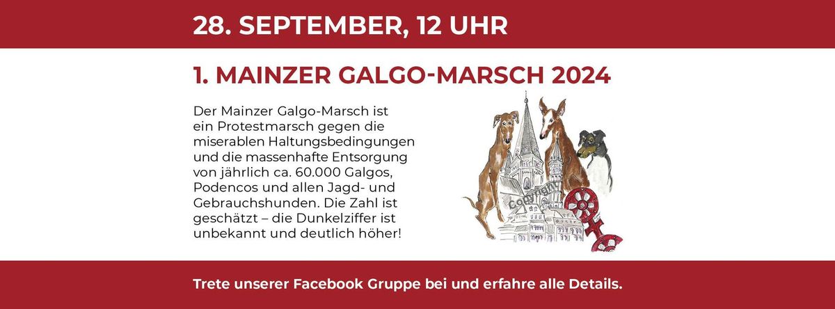 1. Mainzer Galgo-Marsch 2024