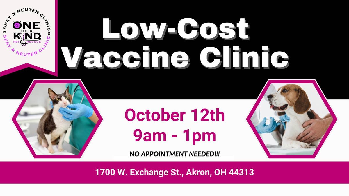 Low-Cost Vaccine Clinic