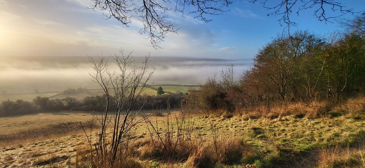 Fabulously Festive Trail