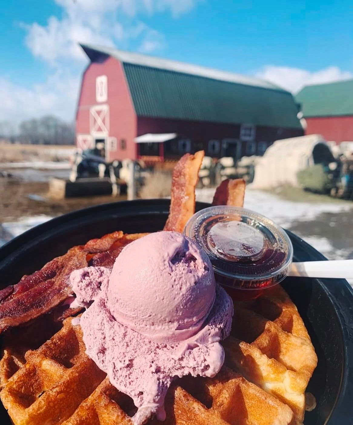 International Ice Cream for Breakfast Day 