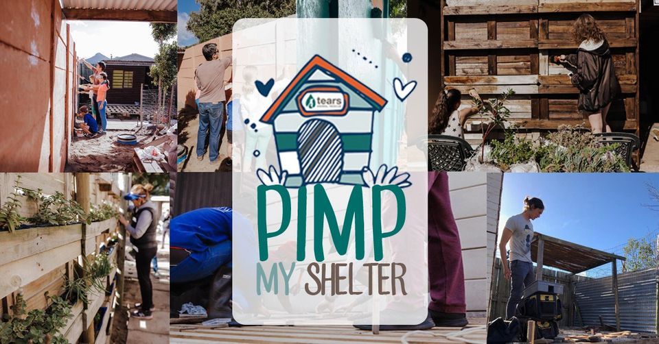 Pimp My Shelter- Cattery